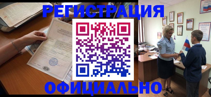 временная регистрация в квартире в Новошахтинске